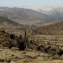 Valley to the Mirador